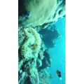 旅行风景3965