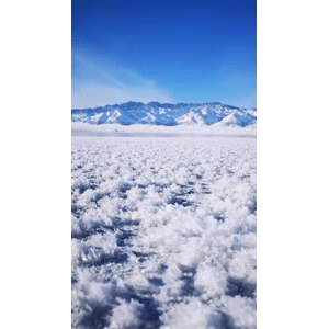 旅行风景3968