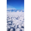 旅行风景3968
