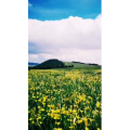 旅行风景3973