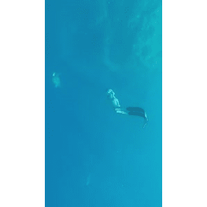 旅行风景3974