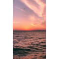 旅行风景3986