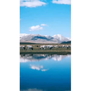 旅行风景3992
