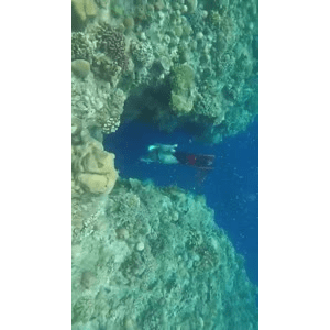 旅行风景3996