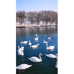 旅行风景3999