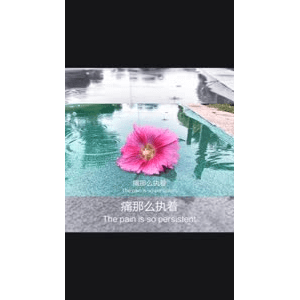 旅行风景4004
