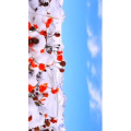 旅行风景4046
