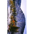 旅行风景4050