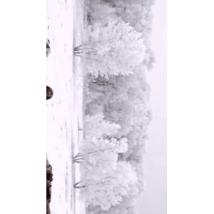旅行风景4060