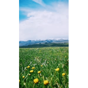 旅行风景4062