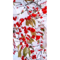 旅行风景4066
