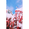 旅行风景4068