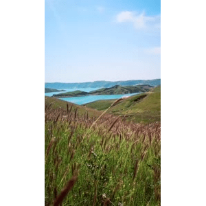 旅行风景4082