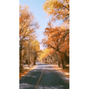 旅行风景4087