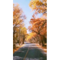 旅行风景4087