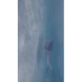 旅行风景4095