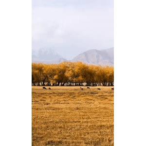 旅行风景4096