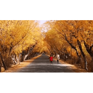 旅行风景4097