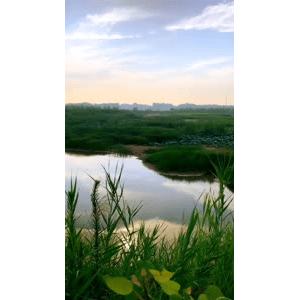 旅行风景4109