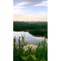 旅行风景4109