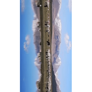 旅行风景4113
