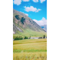 旅行风景4119