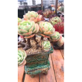 旅行风景4121