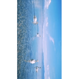 旅行风景4130