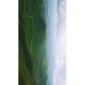 旅行风景4131