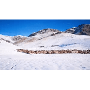 旅行风景4140