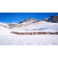 旅行风景4140