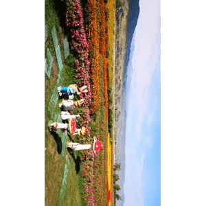 旅行风景4147
