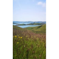 旅行风景4154