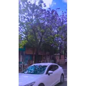 旅行风景4176