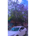 旅行风景4176