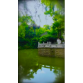 旅行风景4181