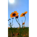 旅行风景4193