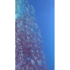 旅行风景4204