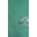 旅行风景4205