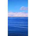 旅行风景4210