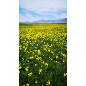 旅行风景4214