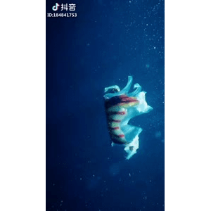 旅行风景4216