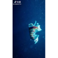 旅行风景4216