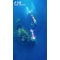 旅行风景4251