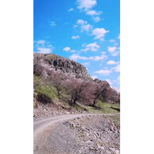 旅行风景4255