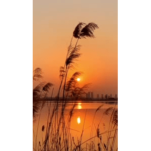 旅行风景4330