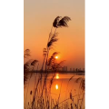 旅行风景4330