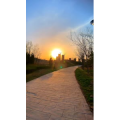旅行风景4343