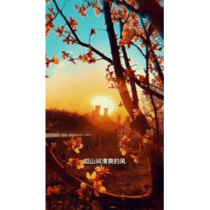 旅行风景4357