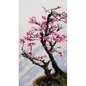 旅行风景4363